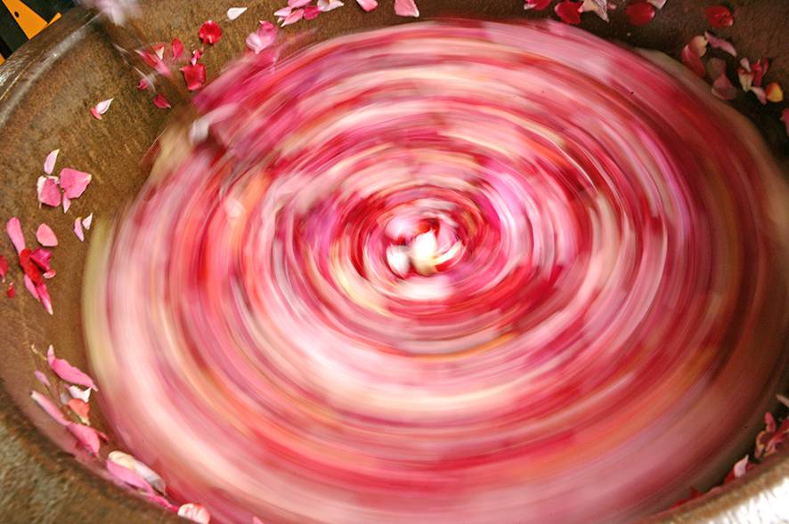 Kreisel aus Blütenblättern