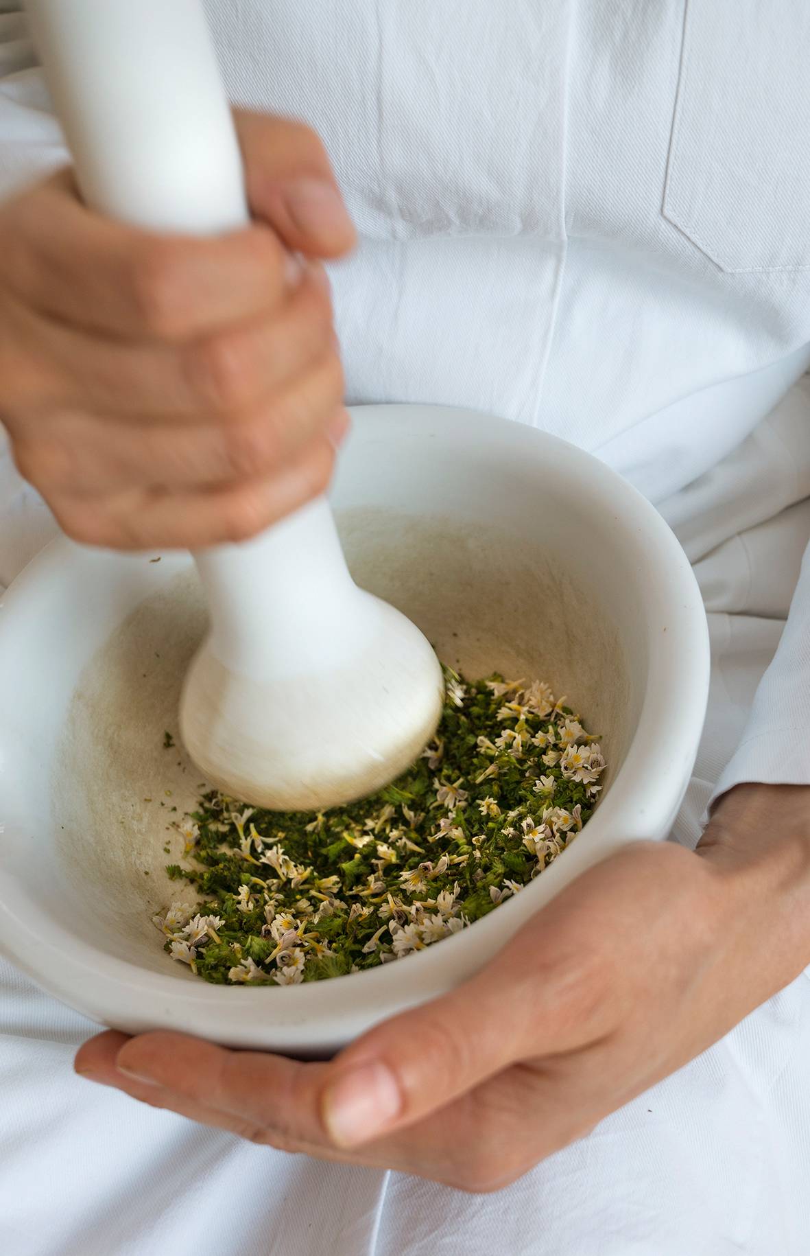 Mörser verreibt Kräuter